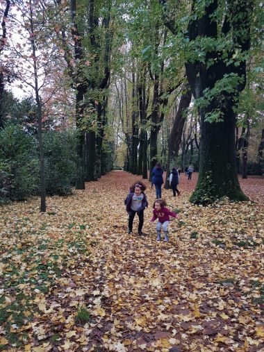 Jardines de la Fundación Serralves