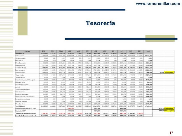 Plan Negocio Empresa Domotica 17